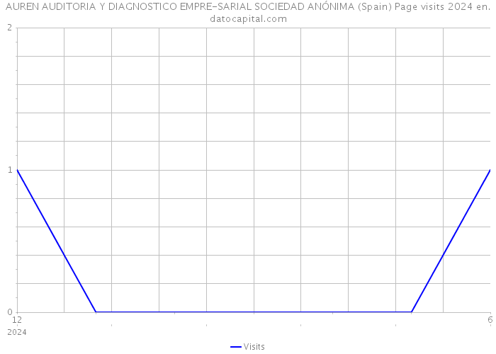 AUREN AUDITORIA Y DIAGNOSTICO EMPRE-SARIAL SOCIEDAD ANÓNIMA (Spain) Page visits 2024 