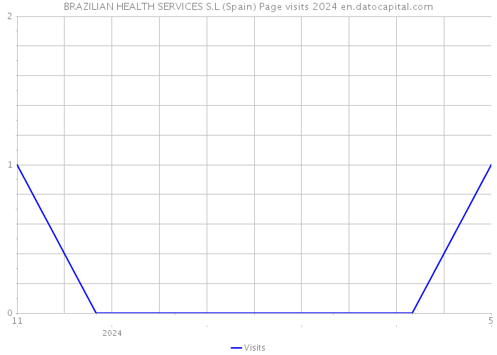 BRAZILIAN HEALTH SERVICES S.L (Spain) Page visits 2024 