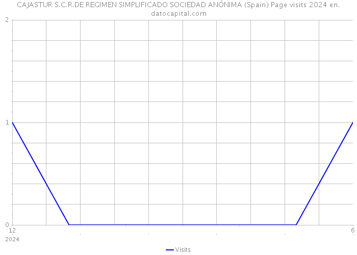 CAJASTUR S.C.R.DE REGIMEN SIMPLIFICADO SOCIEDAD ANÓNIMA (Spain) Page visits 2024 