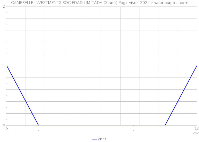 CAMESELLE INVESTMENTS SOCIEDAD LIMITADA (Spain) Page visits 2024 