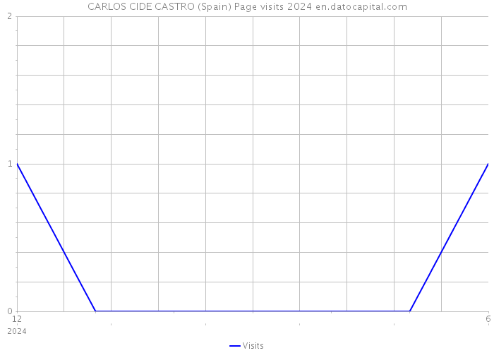CARLOS CIDE CASTRO (Spain) Page visits 2024 
