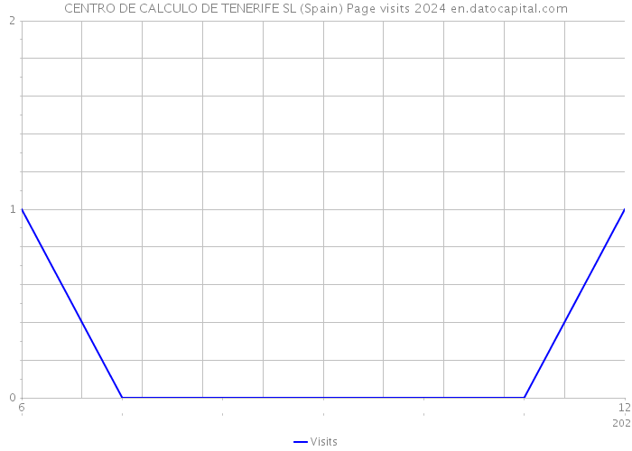 CENTRO DE CALCULO DE TENERIFE SL (Spain) Page visits 2024 