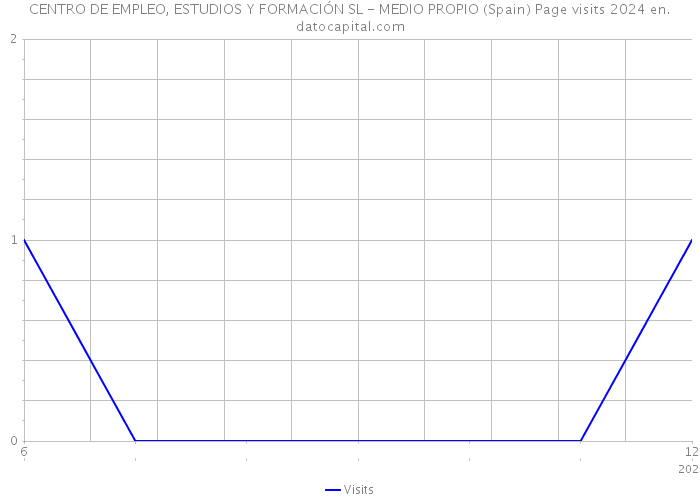 CENTRO DE EMPLEO, ESTUDIOS Y FORMACIÓN SL - MEDIO PROPIO (Spain) Page visits 2024 