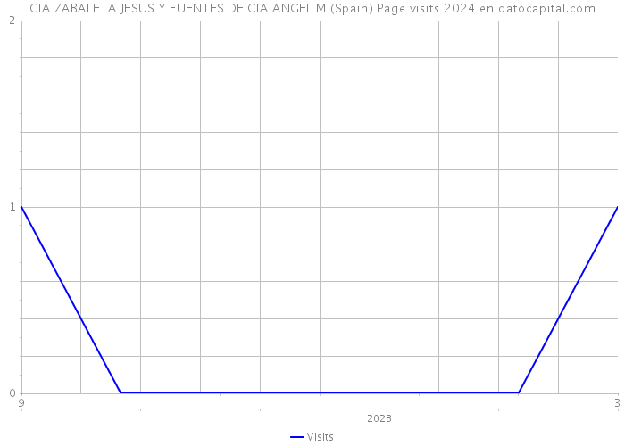 CIA ZABALETA JESUS Y FUENTES DE CIA ANGEL M (Spain) Page visits 2024 