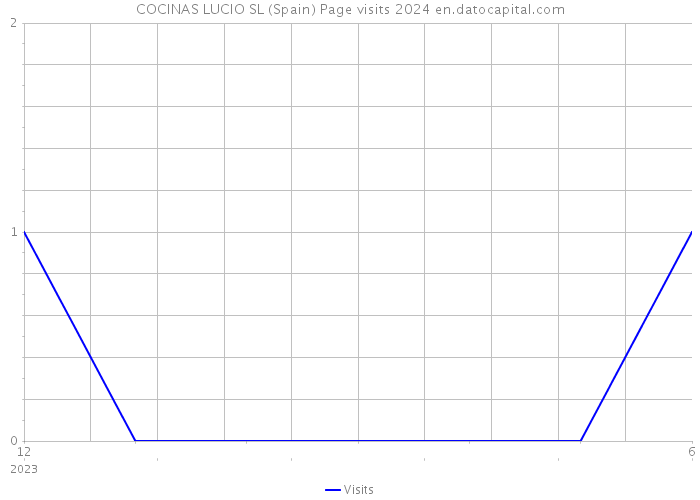 COCINAS LUCIO SL (Spain) Page visits 2024 