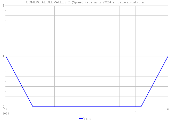 COMERCIAL DEL VALLE;S.C. (Spain) Page visits 2024 