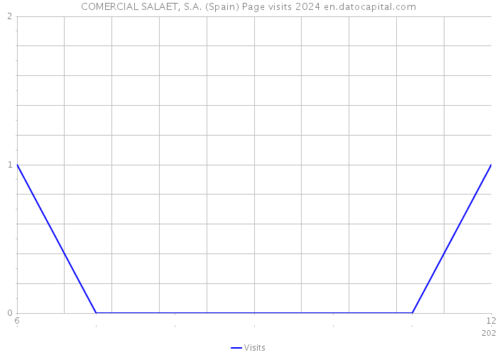 COMERCIAL SALAET, S.A. (Spain) Page visits 2024 