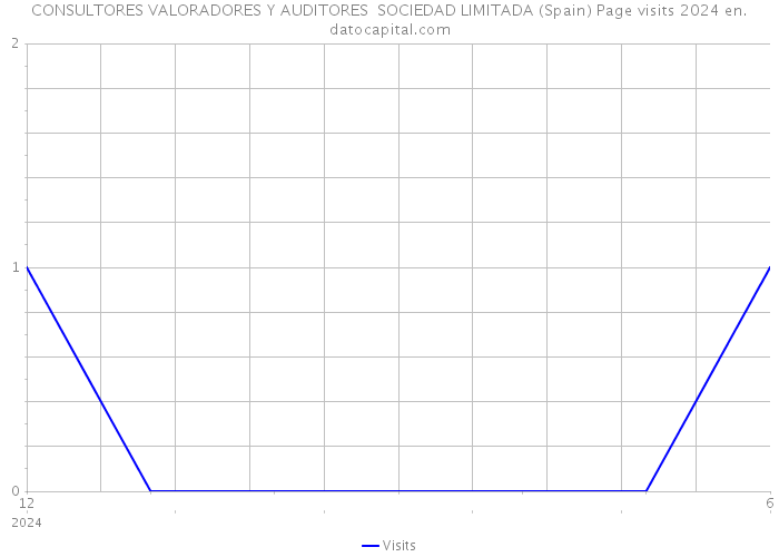CONSULTORES VALORADORES Y AUDITORES SOCIEDAD LIMITADA (Spain) Page visits 2024 