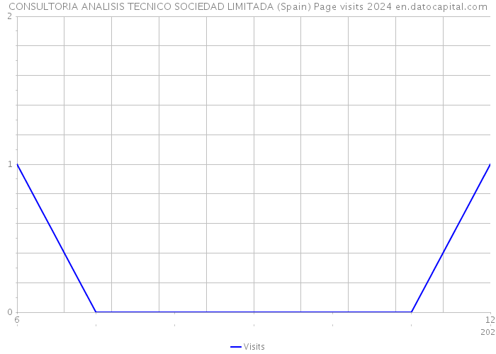 CONSULTORIA ANALISIS TECNICO SOCIEDAD LIMITADA (Spain) Page visits 2024 