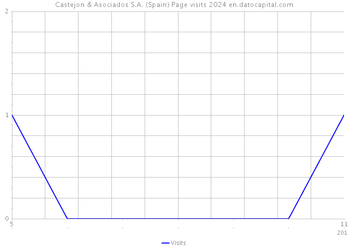 Castejon & Asociados S.A. (Spain) Page visits 2024 