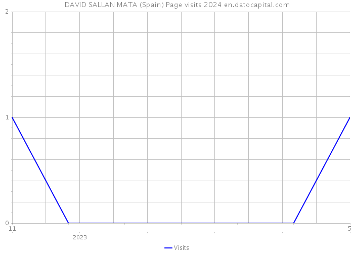 DAVID SALLAN MATA (Spain) Page visits 2024 