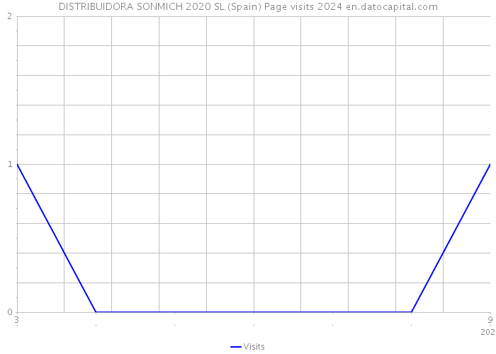 DISTRIBUIDORA SONMICH 2020 SL (Spain) Page visits 2024 