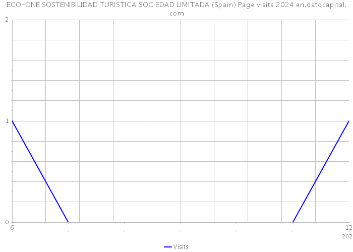ECO-ONE SOSTENIBILIDAD TURISTICA SOCIEDAD LIMITADA (Spain) Page visits 2024 