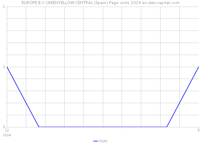 EUROPE B.V GREENYELLOW CENTRAL (Spain) Page visits 2024 