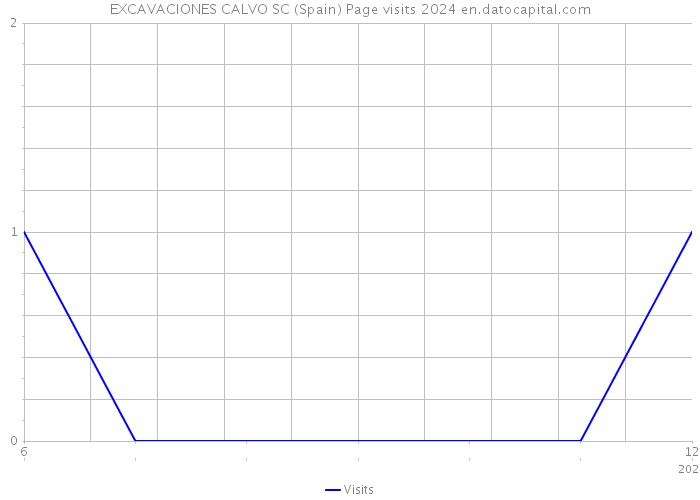 EXCAVACIONES CALVO SC (Spain) Page visits 2024 