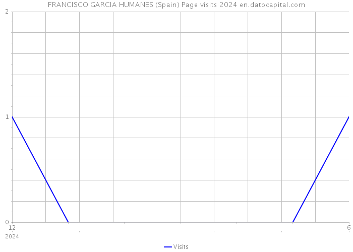 FRANCISCO GARCIA HUMANES (Spain) Page visits 2024 