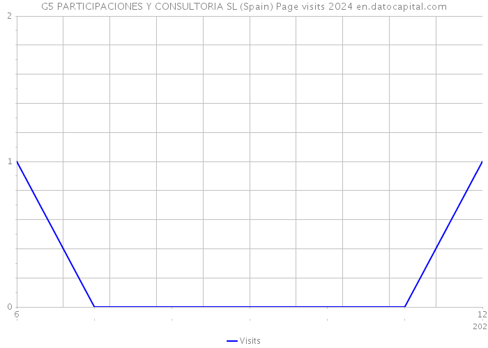 G5 PARTICIPACIONES Y CONSULTORIA SL (Spain) Page visits 2024 