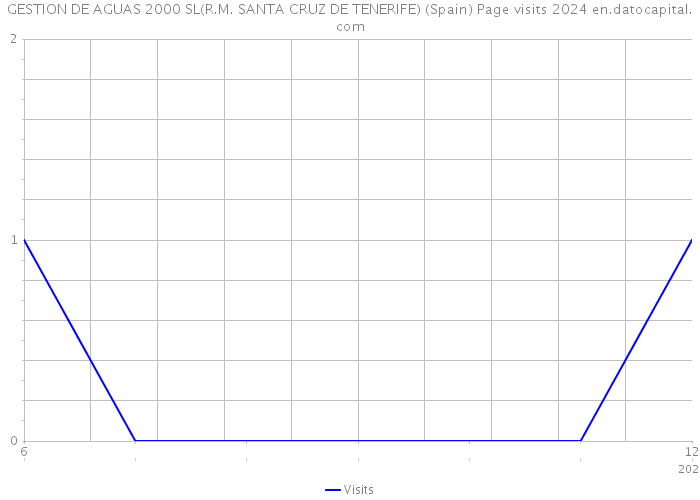 GESTION DE AGUAS 2000 SL(R.M. SANTA CRUZ DE TENERIFE) (Spain) Page visits 2024 