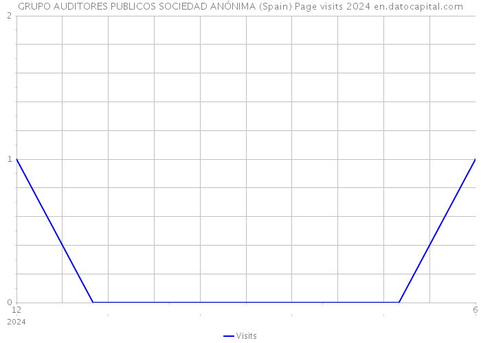 GRUPO AUDITORES PUBLICOS SOCIEDAD ANÓNIMA (Spain) Page visits 2024 