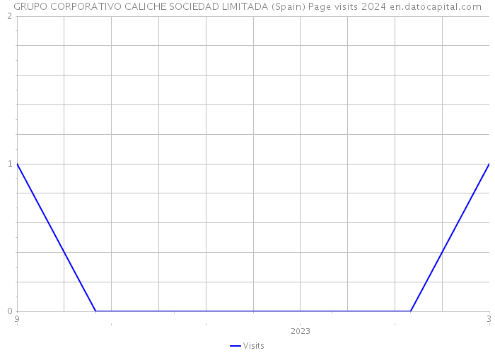 GRUPO CORPORATIVO CALICHE SOCIEDAD LIMITADA (Spain) Page visits 2024 