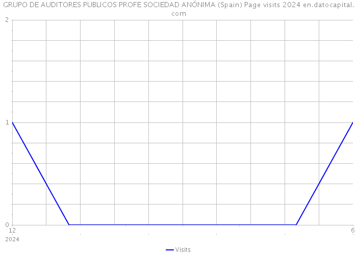 GRUPO DE AUDITORES PUBLICOS PROFE SOCIEDAD ANÓNIMA (Spain) Page visits 2024 