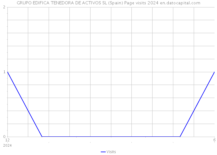 GRUPO EDIFICA TENEDORA DE ACTIVOS SL (Spain) Page visits 2024 