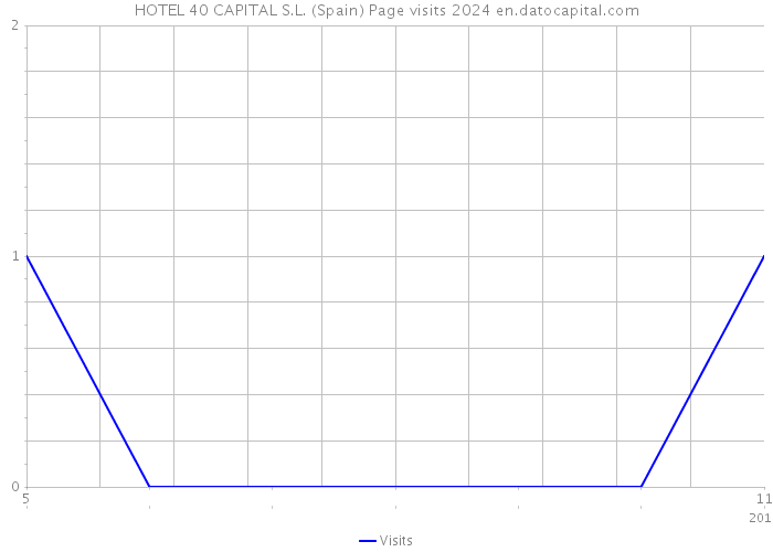 HOTEL 40 CAPITAL S.L. (Spain) Page visits 2024 