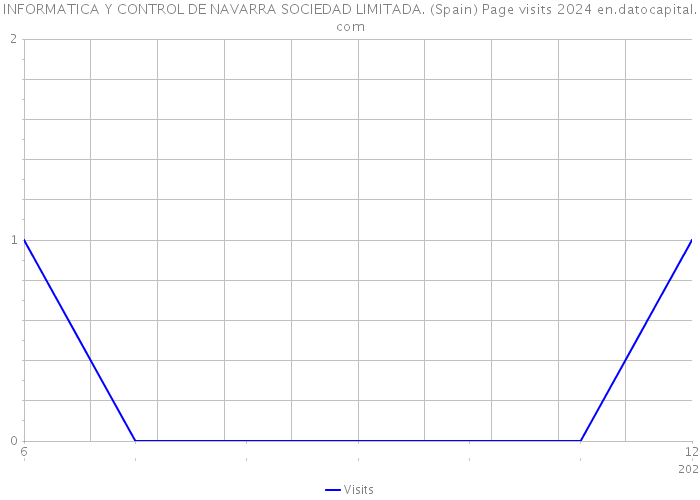 INFORMATICA Y CONTROL DE NAVARRA SOCIEDAD LIMITADA. (Spain) Page visits 2024 