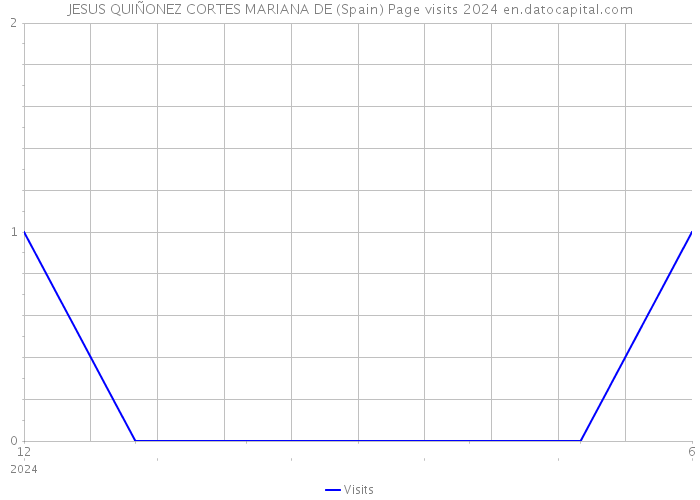 JESUS QUIÑONEZ CORTES MARIANA DE (Spain) Page visits 2024 