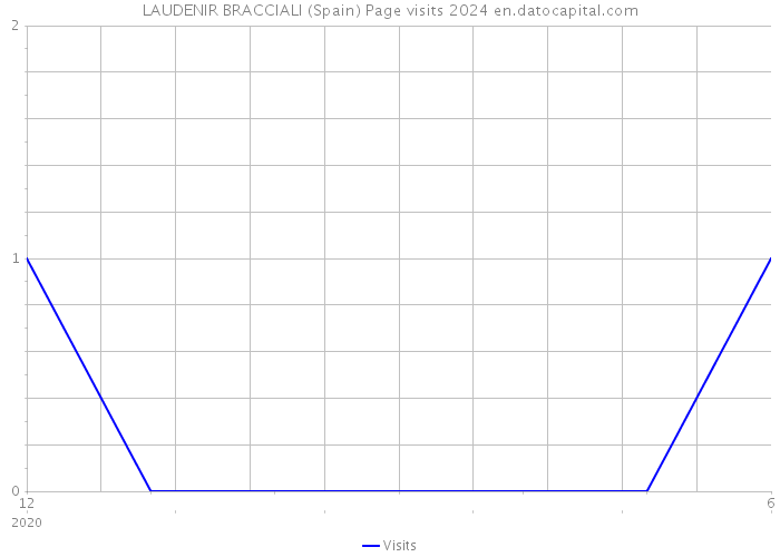 LAUDENIR BRACCIALI (Spain) Page visits 2024 