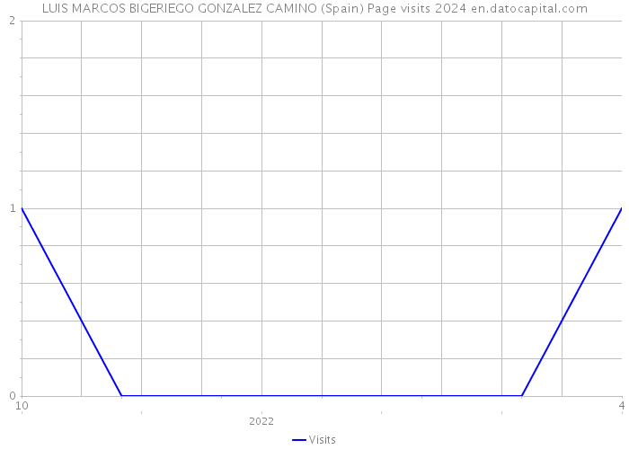 LUIS MARCOS BIGERIEGO GONZALEZ CAMINO (Spain) Page visits 2024 