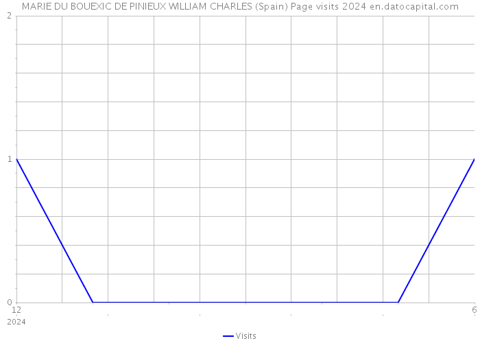 MARIE DU BOUEXIC DE PINIEUX WILLIAM CHARLES (Spain) Page visits 2024 