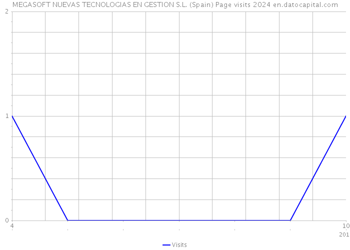 MEGASOFT NUEVAS TECNOLOGIAS EN GESTION S.L. (Spain) Page visits 2024 