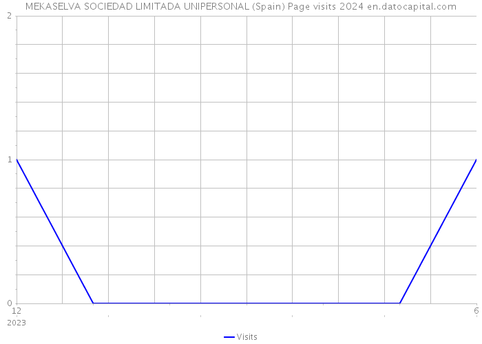 MEKASELVA SOCIEDAD LIMITADA UNIPERSONAL (Spain) Page visits 2024 