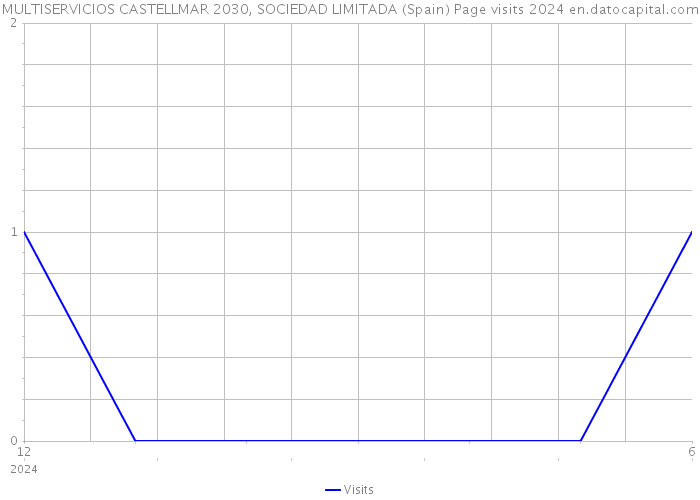 MULTISERVICIOS CASTELLMAR 2030, SOCIEDAD LIMITADA (Spain) Page visits 2024 
