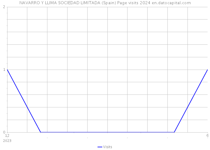 NAVARRO Y LLIMA SOCIEDAD LIMITADA (Spain) Page visits 2024 