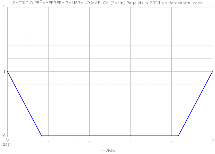 PATRICIO PEÑAHERRERA ZAMBRANO MARLON (Spain) Page visits 2024 