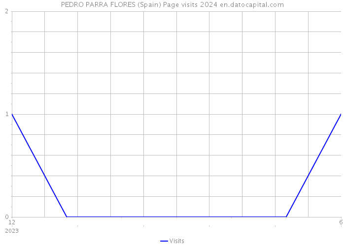 PEDRO PARRA FLORES (Spain) Page visits 2024 
