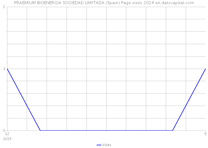 PRAEMIUM BIOENERGIA SOCIEDAD LIMITADA (Spain) Page visits 2024 