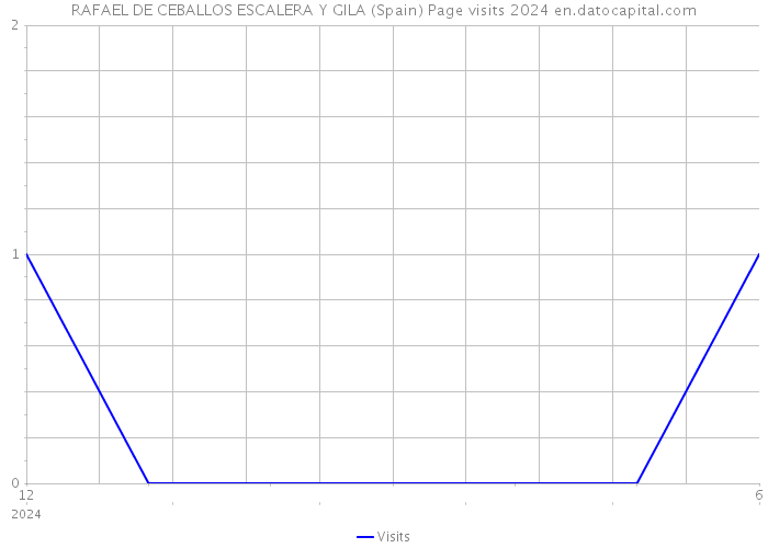 RAFAEL DE CEBALLOS ESCALERA Y GILA (Spain) Page visits 2024 