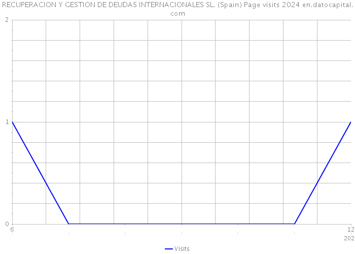 RECUPERACION Y GESTION DE DEUDAS INTERNACIONALES SL. (Spain) Page visits 2024 