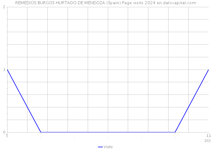 REMEDIOS BURGOS HURTADO DE MENDOZA (Spain) Page visits 2024 