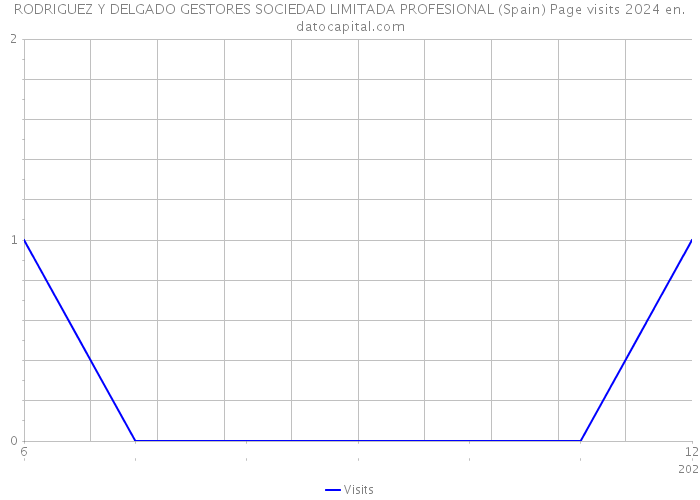 RODRIGUEZ Y DELGADO GESTORES SOCIEDAD LIMITADA PROFESIONAL (Spain) Page visits 2024 