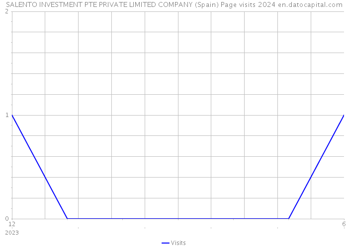 SALENTO INVESTMENT PTE PRIVATE LIMITED COMPANY (Spain) Page visits 2024 