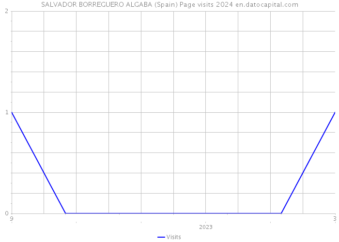SALVADOR BORREGUERO ALGABA (Spain) Page visits 2024 