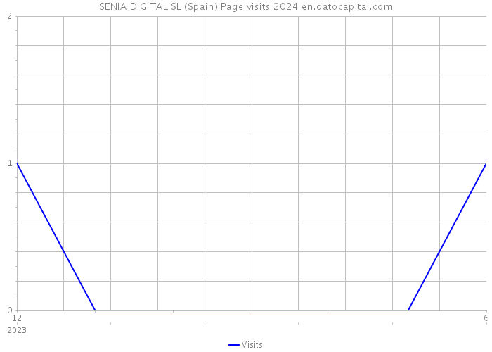 SENIA DIGITAL SL (Spain) Page visits 2024 
