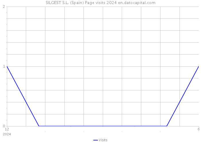 SILGEST S.L. (Spain) Page visits 2024 