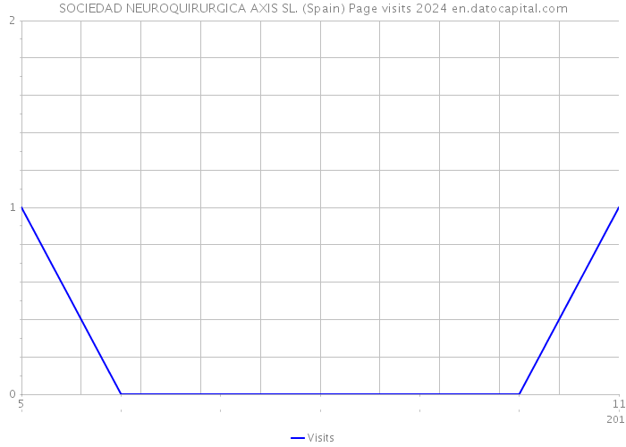 SOCIEDAD NEUROQUIRURGICA AXIS SL. (Spain) Page visits 2024 