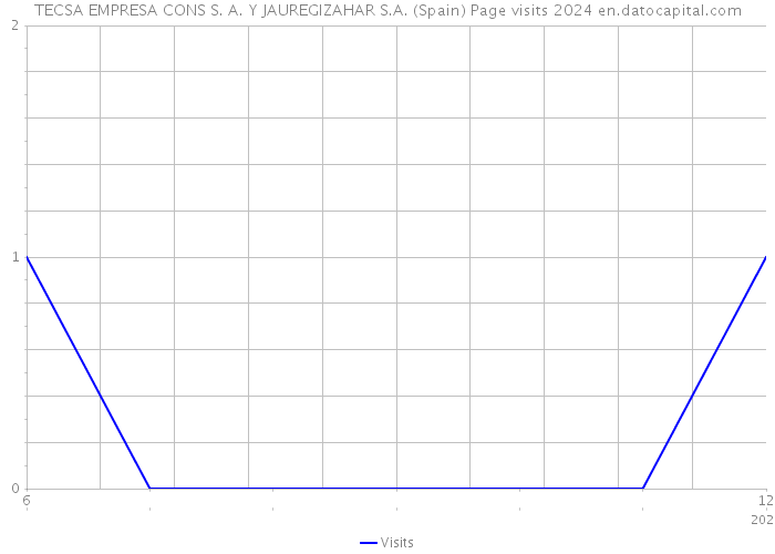 TECSA EMPRESA CONS S. A. Y JAUREGIZAHAR S.A. (Spain) Page visits 2024 