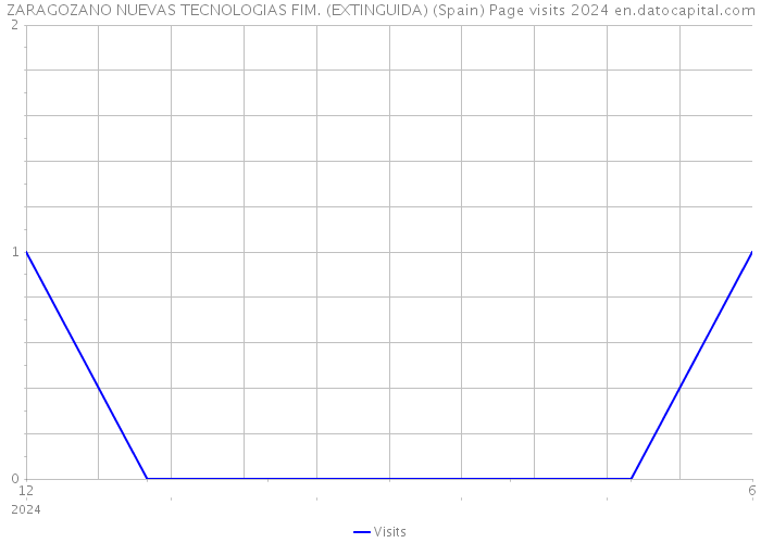 ZARAGOZANO NUEVAS TECNOLOGIAS FIM. (EXTINGUIDA) (Spain) Page visits 2024 